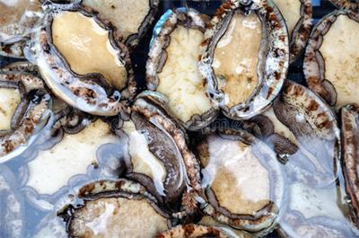 鲍鱼营养价值—上海食堂配送