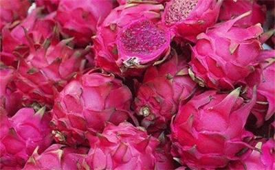 火龙果营养价值—上海食堂食材配送