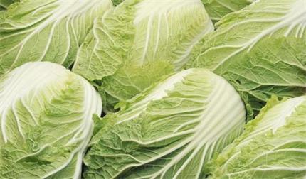 白菜​主要价值上海蔬菜配送