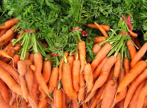 胡萝卜主要价值上海蔬菜配送