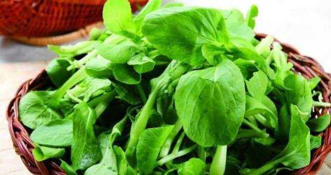 食材配送的要求及存在的意义是什么