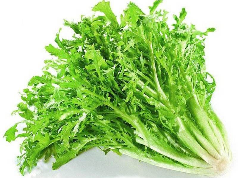 食材配送从生产、采摘再到蔬菜配送无缝衔接