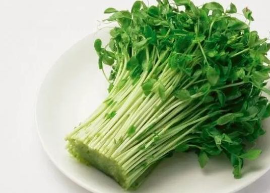 上海蔬菜生鲜配送中心：餐饮食材配送好处